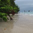 Bocas del Toro on Isla Colon Panama Experience