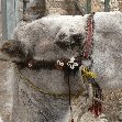 The Roman temple ruins of Baalbek Lebanon Blog Sharing