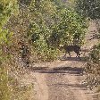 Pendjari National Park Tanguieta Benin Review Sharing