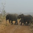 Benin Wildlife Safari Tour Tanguieta Album Photographs Pendjari National Park