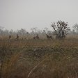 Benin Wildlife Safari Tour Tanguieta Vacation Photo Pendjari National Park