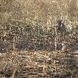 Pendjari National Park Tanguieta Benin Album Sharing