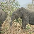 Pendjari National Park Tanguieta Benin Travel Photos