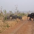 Pendjari National Park Tanguieta Benin Vacation Guide