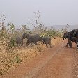 Pendjari National Park Tanguieta Benin Vacation Guide