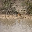 Pendjari National Park Tanguieta Benin Holiday Tips