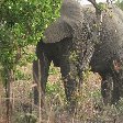 Pendjari National Park Tanguieta Benin Trip Photographs