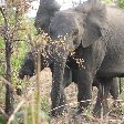 Pendjari National Park Tanguieta Benin Photos