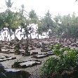 French Guiana Islands Cayenne Photograph