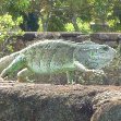 French Guiana Islands Cayenne Trip Adventure