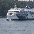 Vancouver Island orca watching Canada Vacation Photo Vancouver Island orca watching