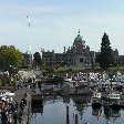 Vancouver Island orca watching Canada Holiday Tips