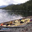 Vancouver Island orca watching Canada Diary