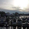 Vancouver Island orca watching Canada Trip Photographs