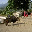 Annapurna circuit trek map Nepal Holiday Photos