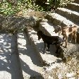   Annapurna Nepal Photo Gallery