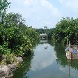 Walt Dinsey World Resort Florida Orlando United States Blog Experience