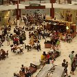 Miami Beach Hotel United States Album Photographs