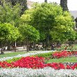 Things to do in Shiraz Iran Vacation Picture