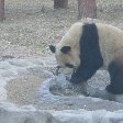 Beijing and the Forbidden City China Album Photographs