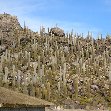 Uyuni Salt Tour Bolivia Holiday Photos