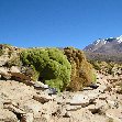 Uyuni salt flats tour Bolivia Blog Review