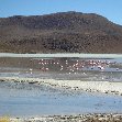 Uyuni salt flats tour Bolivia Diary Information