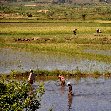   Ambositra Madagascar Experience