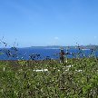 Two Lovers Point Guam Tamuning Vacation Adventure