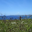 Two Lovers Point Guam Tamuning Vacation Adventure Two Lovers Point Guam