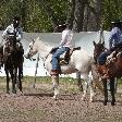 Horse Riding with Argentinian Gauchos in Salta Argentina Picture