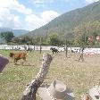 Horse Riding with Argentinian Gauchos in Salta Argentina Photo Sharing