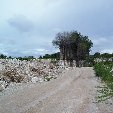 Nauru Island Pictures Yaren Story Sharing