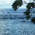 Nauru Island Pictures Yaren Travel Blog Nauru Island Pictures