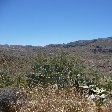 Apache Trail AZ Apache Junction United States Holiday Adventure