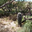 Apache Junction United States