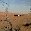 Wahiba Sands Desert Tour Oman Trip Photo