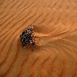 Wahiba Sands Desert Tour Oman Photo