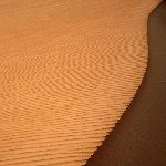 Wahiba Sands Desert Tour Oman Review