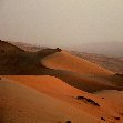 Wahiba Sands Desert Tour Oman Trip Experience