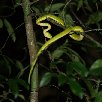 La Paz Waterfall Gardens Vara Blanca Costa Rica Vacation Experience