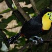 Vara Blanca Costa Rica