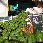 Arequipa Peru