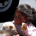From Arequipe to Chivay and Colca Canyon Peru Travel Sharing From Arequipe to Chivay and Colca Canyon