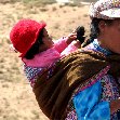   Colca Canyon Peru Vacation Information