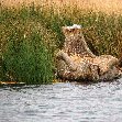 Puno floating islands Peru Holiday Adventure