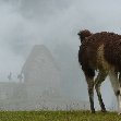 Inca trail to Machu Picchu Peru Album Photographs
