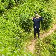 Bogor Botanical Garden Indonesia Adventure