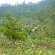 Mt Lawu Indonesia
