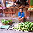   Kalibaru Indonesia Trip Photos